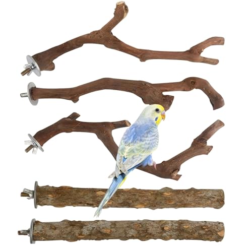 Kronabelle Käfig-Sitzstangen für Sittiche, Nymphensittiche, Sittiche, Wellensittiche, 5 Stück, Vogelsitzstangen aus Holz, natürliche Traubenholzzweige Halterungen, Vogelständer und Kronabelle Käfig-Sitzstangen für Sittiche, Nymphensittiche, Sittiche, Wellensittiche, 5 Stück, Vogelsitzstangen aus Holz, natürliche Traubenholzzweige Halterungen, Vogelständer und von Kronabelle