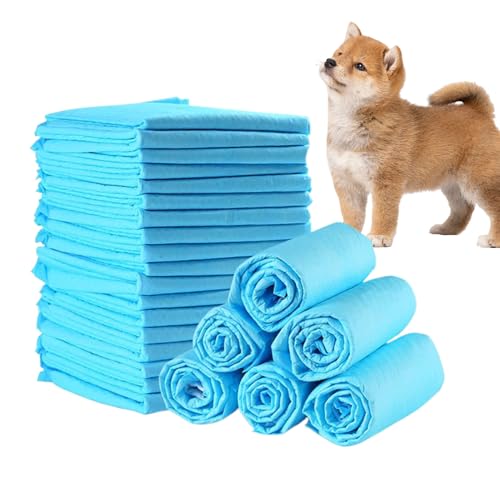 Krujecnt Hunde PIPI Unterlagen - Hunde Trainingsunterlagen - 100 Stunden Unterlagen Undurchlässig Geruchseliminierung Stubenreinheit Haustierbedarf Kleintiere Katzen Alle Rassen Toiletten Training Krujecnt Hunde PIPI Unterlagen - Hunde Trainingsunterlagen - 100 Stunden Unterlagen Undurchlässig Geruchseliminierung Stubenreinheit Haustierbedarf Kleintiere Katzen Alle Rassen Toiletten Training von Krujecnt