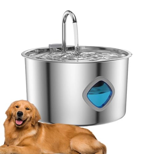 Krujecnt Katzen Trinkbrunnen | 3,2L Katzen Trinkbrunnen & Hundenapf | Edelstahlschale Automatische Tränke Für Und Hunde Krujecnt Katzen Trinkbrunnen | 3,2L Katzen Trinkbrunnen & Hundenapf | Edelstahlschale Automatische Tränke Für Und Hunde von Krujecnt