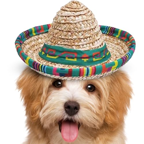 Krujecnt Mini Sombrero Hüte - Geflochtene Partyhüte | Großkrempige Deko Stirnband Für Kinder Und Haustiere Krujecnt Mini Sombrero Hüte - Geflochtene Partyhüte | Großkrempige Deko Stirnband Für Kinder Und Haustiere von Krujecnt