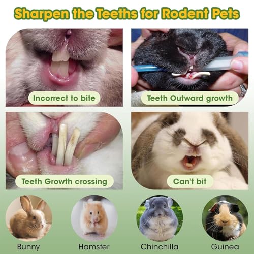 Krujecnt nanreicherung Spielzeug, Spielzeug - Holzn Molar Snacks 2X | Gesunde Zähne Schleifspielzeug natürlicher Papaya -Haustierzähne Vorräte für Chinchilla Hamster von Krujecnt