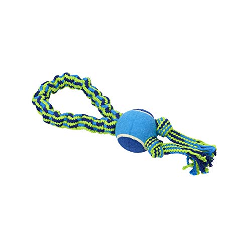 Buster Double Knot Colour Bungee Rope with Tennis Ball, 33 cm, Blue/Lime von Kruuse
