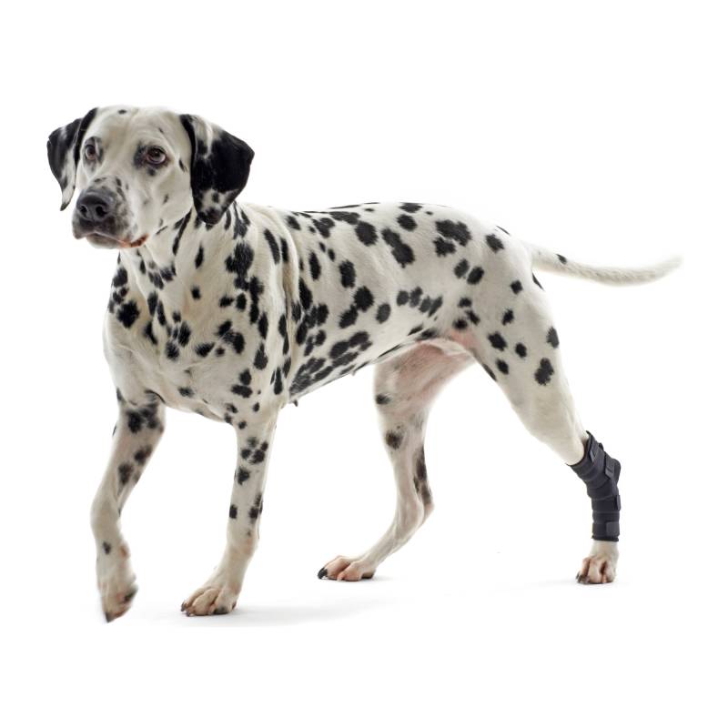 Kruuse Rehab Fersenschutz - S Kruuse Rehab Fersenschutz - S von Kruuse