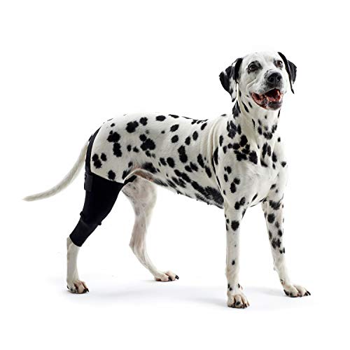 Kruuse Rehab Knieschoner für Hunde, Rechts, XX-Small, 3X-Small. von Kruuse