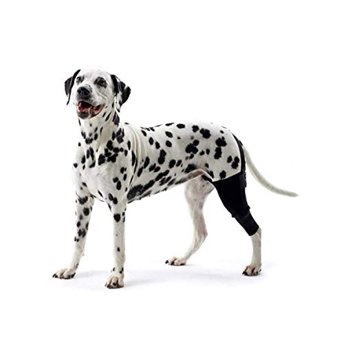 Kruuse Rehab Knie-Schutz für Hunde (X-Large - Rechts) (Schwarz) von Kruuse