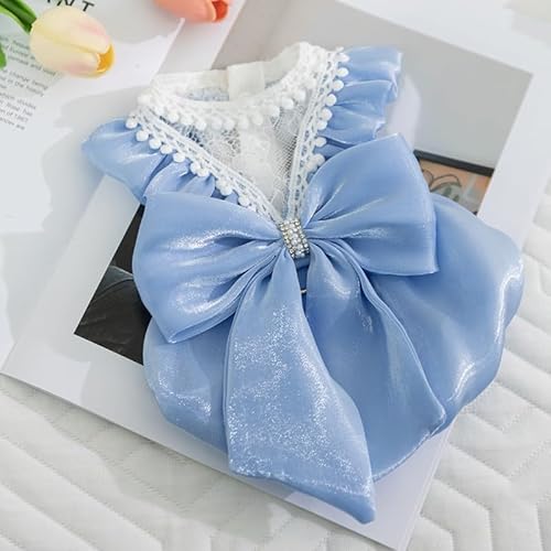 Sommer-Prinzessinnen-Hundekleid mit Spitzenbesatz, große Schleife, atmungsaktives Outfit für kleine Hunde, verstellbare Welpenkleidung für Bichon/Teddy/Yorkie, Fotoshootings und Geburtstagsparty, Blau Sommer-Prinzessinnen-Hundekleid mit Spitzenbesatz, große Schleife, atmungsaktives Outfit für kleine Hunde, verstellbare Welpenkleidung für Bichon/Teddy/Yorkie, Fotoshootings und Geburtstagsparty, Blau von Ksheria