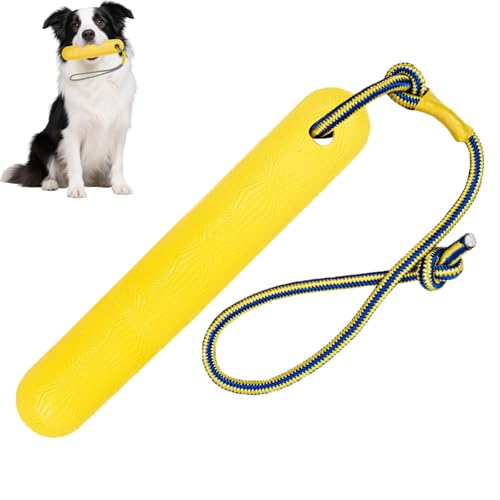 Ktnyl 24cm Hundespielzeug Wasser, Spielzeug für Hunde, Wasserspielzeug Hund Schwimmend, Hundespielzeug Schwimmend, Geeignet für Spiele Im Freien, Spielzeug für Mittelgroße Und Große Hunde von Ktnyl