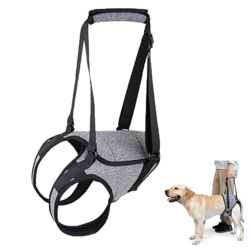 Tragehilfe Hund Groß, Tragehilfe Hund Hinterbein s, Dog Back Leg Support, Dog Carrying Aid, Verstellbares Hundegeschirr für Hinterbein, für Ältere, Behinderte Und Behinderte Hunde. Tragehilfe Hund Groß, Tragehilfe Hund Hinterbein s, Dog Back Leg Support, Dog Carrying Aid, Verstellbares Hundegeschirr für Hinterbein, für Ältere, Behinderte Und Behinderte Hunde. von Ktnyl