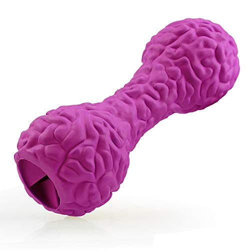 Haustierbedarf Resist Bite Molars Leakage Hundespielzeug Gummihantel Haustierspielzeug (Violett) von Kuangzee