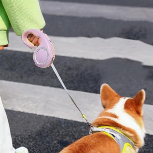 Einziehbare Haustierleine, 9,8 Fuß, EIN-Knopf-Verriegelung, Automatische Haustier-Leine, Ergonomischer Griff, Fluoreszierend, für Kleine Hunde und Katzen (Pink Lila 3 Meter / 9,8 Einziehbare Haustierleine, 9,8 Fuß, EIN-Knopf-Verriegelung, Automatische Haustier-Leine, Ergonomischer Griff, Fluoreszierend, für Kleine Hunde und Katzen (Pink Lila 3 Meter / 9,8 von Kufoo