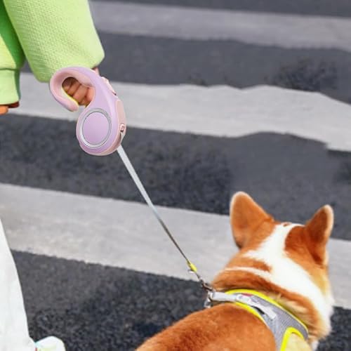 Einziehbare Haustierleine, 9,8 Fuß, EIN-Knopf-Verriegelung, Automatische Haustier-Leine, Ergonomischer Griff, Fluoreszierend, für Kleine Hunde und Katzen (Pink Lila 3 Meter / 9,8 von Kufoo