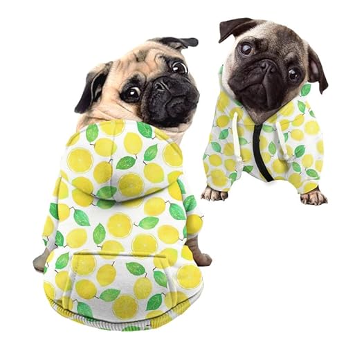 Kuiaobaty Hunde-Kapuzenpullover mit Zitronen-Druck, für Haustiere, Katzen, Herbst, warme Hoodies, gelbe Zitronen, Welpen-Sweatshirt, Hundekostüme, Outfits Kleidung von Kuiaobaty