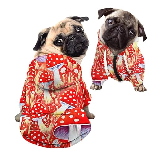 Kuiaobaty Rote Pilze Muster Hund Hoodies für kleine Hunde Kleidung Bekleidung Pilze Outfit Welpen Haustier Pullover Sweatshirt Mantel Outfits von Kuiaobaty