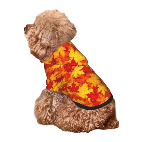 Kuilepa Hunde-Kapuzenpullover im Vintage-Stil, Ahornblätter, Herbstdruck, Sicherheitshundepullover, Hundekleidung, Hunde-Kapuzenpullover für kleine, mittelgroße und große Hunde (Größe XS-XXL) von Kuilepa