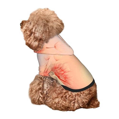 Kuilepa Hunde-Kapuzenpullover mit Sonnenuntergang und Löwenzahn-Aufdruck, Sicherheits-Hundekleidung, Hunde-Kapuzenpullover für kleine, mittelgroße und große Hunde (Größe XS-XXL) von Kuilepa