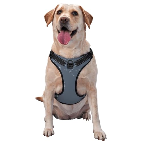 Kuilepa Hundegeschirr, kein Ziehen, verstellbar, reflektierend, Oxford-Gewebe, einfache Kontrolle, Größe M, L, Weiß, Löwenzahn Kuilepa Hundegeschirr, kein Ziehen, verstellbar, reflektierend, Oxford-Gewebe, einfache Kontrolle, Größe M, L, Weiß, Löwenzahn von Kuilepa