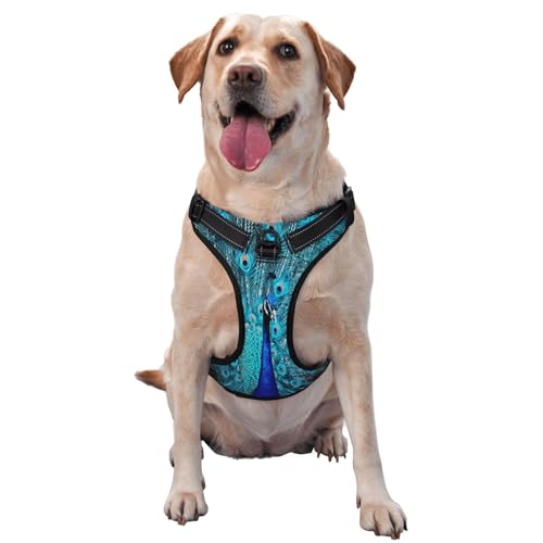 Kuilepa Hundegeschirr, kein Ziehen, verstellbar, reflektierend, Oxford-Gewebe, einfache Kontrolle, Größe M, L, schöner blauer Pfau Kuilepa Hundegeschirr, kein Ziehen, verstellbar, reflektierend, Oxford-Gewebe, einfache Kontrolle, Größe M, L, schöner blauer Pfau von Kuilepa