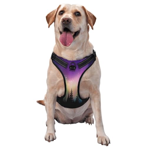 Kuilepa Hundegeschirr, kein Ziehen, verstellbar, reflektierend, Oxford-Stoff, einfache Kontrolle, Größe M, L, Nordlichter von Kuilepa