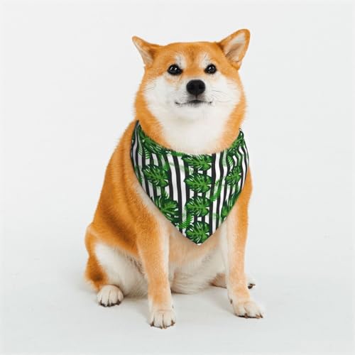 Kuilepa Hundehalstuch, Motiv: Palmgrün, Geburtstagsgeschenk, waschbar, für kleine bis große Hunde, Welpen, Katzen, klein Kuilepa Hundehalstuch, Motiv: Palmgrün, Geburtstagsgeschenk, waschbar, für kleine bis große Hunde, Welpen, Katzen, klein von Kuilepa