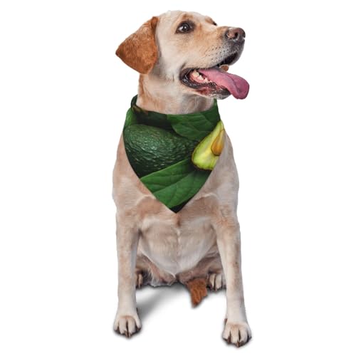 Kuilepa Hundehalstuch, Motiv: frische Avocados, Geburtstagsgeschenk, waschbar, Weihnachtsbandana, Schal für kleine bis große Hunde, Welpen, Katzen Kuilepa Hundehalstuch, Motiv: frische Avocados, Geburtstagsgeschenk, waschbar, Weihnachtsbandana, Schal für kleine bis große Hunde, Welpen, Katzen von Kuilepa