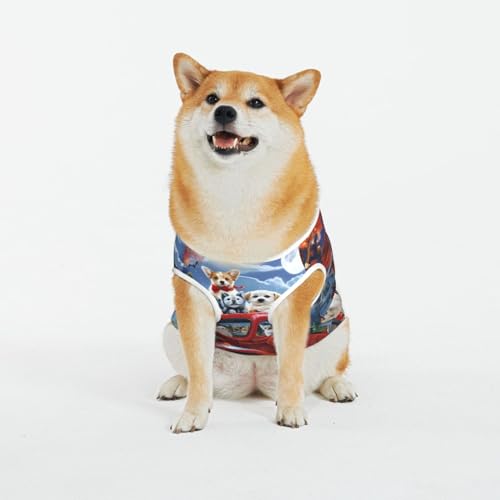 Kuilepa Hundepullover mit Halloween-Kürbis-Aufdruck, für kaltes Wetter, Hunde-Sweatshirt, Hundejacke für drinnen und draußen von Kuilepa