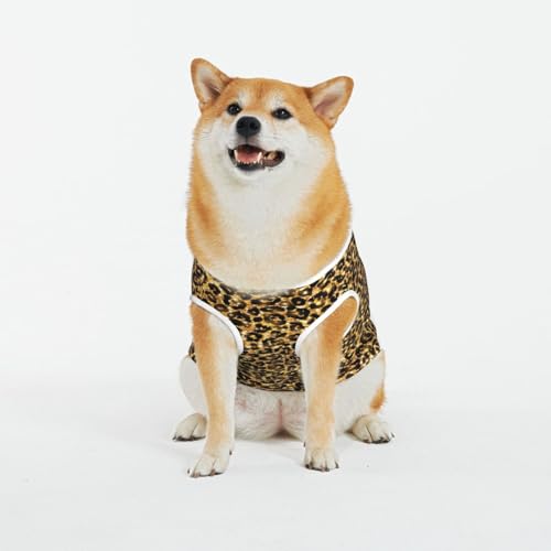 Kuilepa Hundepullover mit Leopardenmuster, goldfarben, glitzernd, für den Innen- und Außenbereich von Kuilepa