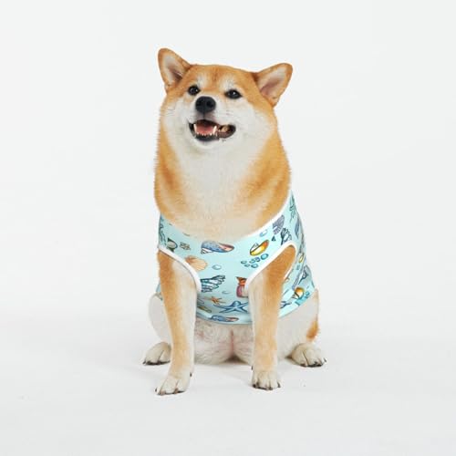Kuilepa Hundepullover mit Muschelmotiv, für den Innen- und Außenbereich geeignet von Kuilepa