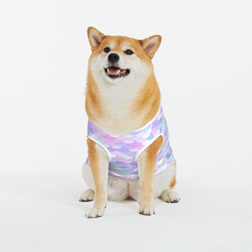 Kuilepa Hundepullover mit Regenbogenschuppenmuster, für kaltes Wetter, Hunde-Sweatshirt, Hundejacke für drinnen und draußen von Kuilepa