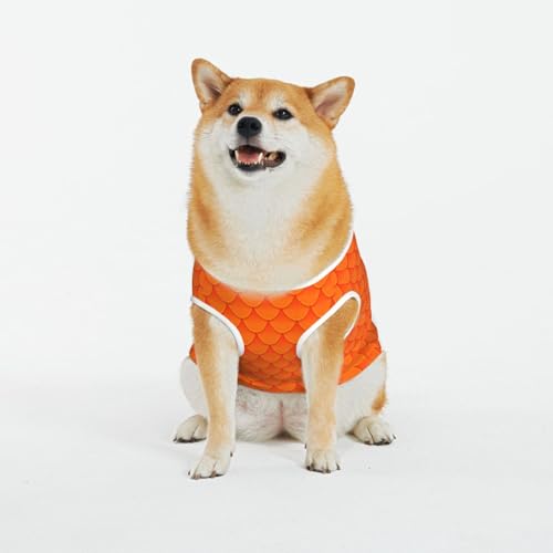 Kuilepa Hundepullover mit orangefarbenem Schuppen-Aufdruck, für kaltes Wetter, Hunde-Sweatshirt, Hundejacke für drinnen und draußen Kuilepa Hundepullover mit orangefarbenem Schuppen-Aufdruck, für kaltes Wetter, Hunde-Sweatshirt, Hundejacke für drinnen und draußen von Kuilepa