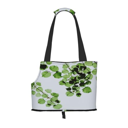 Kuilepa Hundetragetasche für kleine Hunde, weiche Seiten, mit Taschen, tragbare mittelgroße Hunde, Welpen, große Katzen, Reisetasche, Tragetasche für Wandern, Reisen, Outdoor von Kuilepa