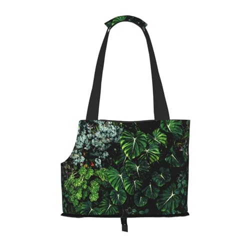 Kuilepa Tragetasche für kleine Hunde, weiche Seiten, tragbare mittelgroße Hunde, Welpen, große Katze, Reisehandtasche für Wandern, Reisen, Outdoor von Kuilepa