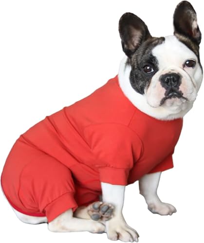 Kukaster Pet Hundebody Nach Op Op Body Hund kastration Hündin Rüde Body für Hunde nach Op, Wundschutzanzüge, Nylonschnalle für Haarausfall, Allergien Rasur, Rot L Kukaster Pet Hundebody Nach Op Op Body Hund kastration Hündin Rüde Body für Hunde nach Op, Wundschutzanzüge, Nylonschnalle für Haarausfall, Allergien Rasur, Rot L von Kukaster Pet
