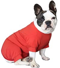 Kukaster Pet Hundebody Nach Op Kastration Hündin Rüde Wundschutzanzüge für Französische Bulldogge, Nylonschnalle für Haarausfall, Allergien Rasur, FD01 red M von Kukaster Pet