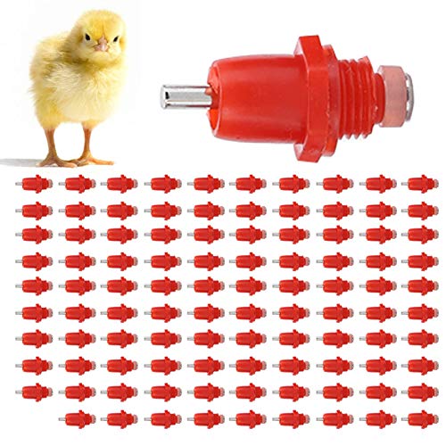 100 Stück Automatische Hühnerwassernippel, Schraubenstil Geflügelhähnchen -Feeder -Ports Wassernippel Trinkerfuttermittel 100 Stück Automatische Hühnerwassernippel, Schraubenstil Geflügelhähnchen -Feeder -Ports Wassernippel Trinkerfuttermittel von Kukyller