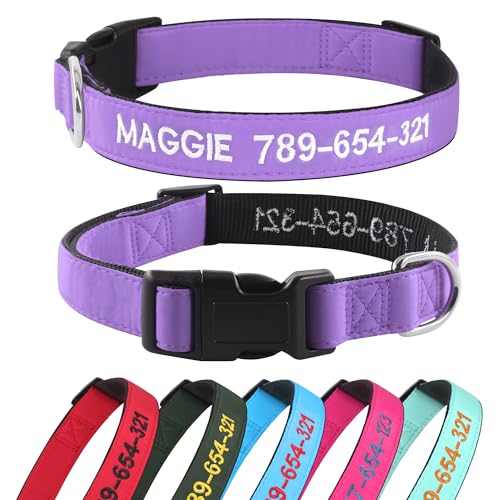 Hundehalsband Personalisiert mit Namen und Telefonnummer Bestickt für Extra-klein Kleine Mittlere Große Hunde(Lila) von Kuley
