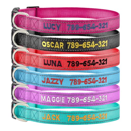 Hundehalsband Personalisiert Reflektierend Bestickt mit Namen und Telefonnummer für Extra klein Klein Mittel Groß Hunde Hundehalsband Personalisiert Reflektierend Bestickt mit Namen und Telefonnummer für Extra klein Klein Mittel Groß Hunde von Kuley