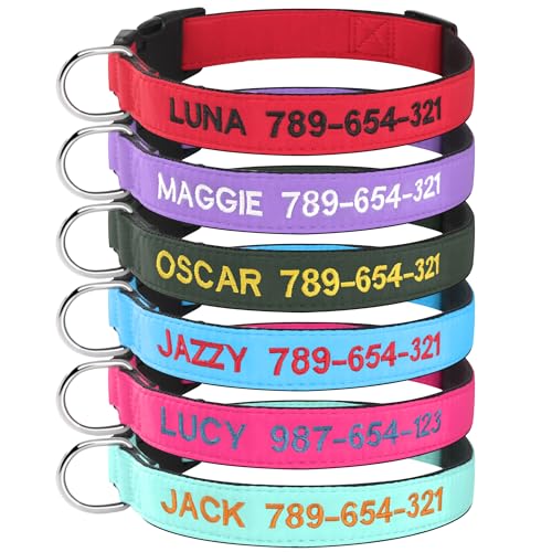 Hundehalsband Personalisiert mit Namen und Telefonnummer Bestickt für Extra-klein Kleine Mittlere Große Hunde Hundehalsband Personalisiert mit Namen und Telefonnummer Bestickt für Extra-klein Kleine Mittlere Große Hunde von Kuley