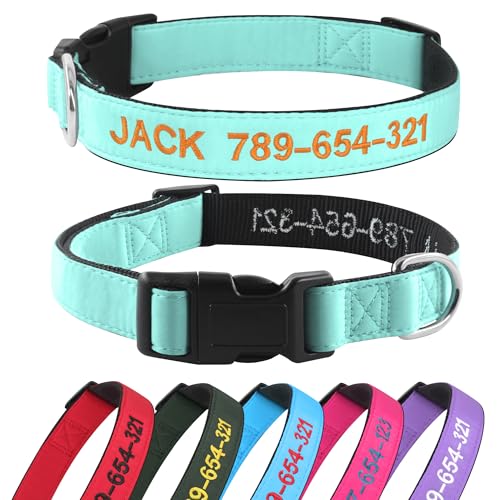 Hundehalsband Personalisiert mit Namen und Telefonnummer Bestickt für XS Kleine Mittlere Große Hunde(Eierschalenblau) von Kuley
