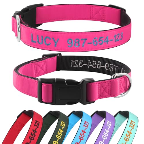 Hundehalsband Personalisiert mit Namen und Telefonnummer Bestickt für XS Kleine Mittlere Große Hunde(Rosa) von Kuley
