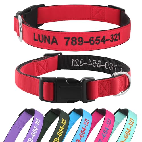 Hundehalsband Personalisiert mit Namen und Telefonnummer Bestickt für XS Kleine Mittlere Große Hunde(rot) von Kuley