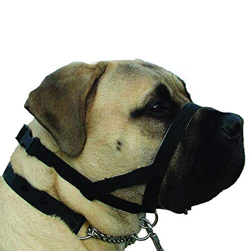 Kumfi Hundefigur Kumfi, Größe L Kumfi Hundefigur Kumfi, Größe L von Kumfi
