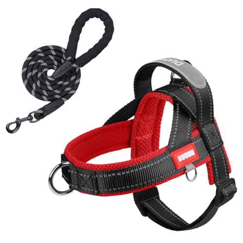Hundegeschirr und Leine, gepolstert, verstellbar, mit Griff und 1,5 m Leine für kleine, mittelgroße Hunde, leicht, ausbruchsicher und schnell anzubringen, für Training, Spazierengehen, (Schwarz/Rot, L von Kumihigh