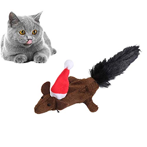 Cat Toy Katzenspielzeug Katzenangel Katzenspielzeug Fisch Katzen Spielzeug Cat Treat Spielzeug Interaktives Katzenspielzeug Kätzchen-Spielwaren Für Innenkatzen Katzenfeder Spielzeug Cat Toy Katzenspielzeug Katzenangel Katzenspielzeug Fisch Katzen Spielzeug Cat Treat Spielzeug Interaktives Katzenspielzeug Kätzchen-Spielwaren Für Innenkatzen Katzenfeder Spielzeug von KunLS