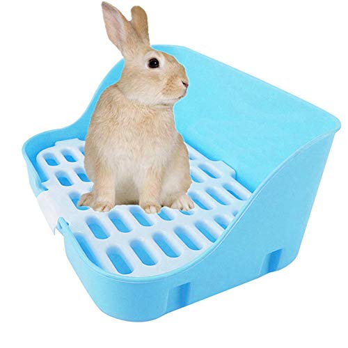 Haustier Kleine Ratte WC Quadratische TöPfchen Trainer Ecke Wurf BettwäSche Box Pet Pan FüR Kleintiere/Kaninchen/Meerschwein/Frettchen Blue Haustier Kleine Ratte WC Quadratische TöPfchen Trainer Ecke Wurf BettwäSche Box Pet Pan FüR Kleintiere/Kaninchen/Meerschwein/Frettchen Blue von KunLS