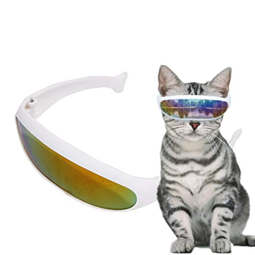 Hundebrille Schutzbrille Hundebrille Für Kleine Hunde Brille Hund Faltbare Hundesonnenbrille Sonnenschutz Hund wasserdichte Hundebrille Welpen Sonnenbrille Yellow Hundebrille Schutzbrille Hundebrille Für Kleine Hunde Brille Hund Faltbare Hundesonnenbrille Sonnenschutz Hund wasserdichte Hundebrille Welpen Sonnenbrille Yellow von KunLS