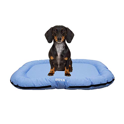 Hundekörbchen Hundebett XL Hundekissen Hundekörbchen Hunde Körbchen Hunde Bett Haustierbett Hundebettwäsche Flauschige Katze Mat Hundebett Klein Light Blue Hundekörbchen Hundebett XL Hundekissen Hundekörbchen Hunde Körbchen Hunde Bett Haustierbett Hundebettwäsche Flauschige Katze Mat Hundebett Klein Light Blue von KunLS