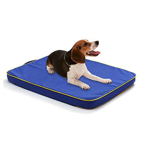 Hundekörbchen Hundebetten Für Große Hundekissen Hundekörbchen Hunde Körbchen Hunde Bett Weiches Tierarztbett Hundebett Hundebett Zubehör Blue,s Hundekörbchen Hundebetten Für Große Hundekissen Hundekörbchen Hunde Körbchen Hunde Bett Weiches Tierarztbett Hundebett Hundebett Zubehör Blue,s von KunLS