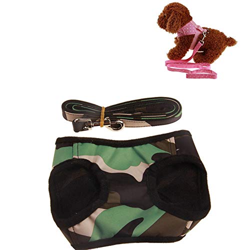 Katzenleine Brustgeschirr Hund Katzengeschirr Hundegeschirr Welpengeschirr Kleine Hundeleine Für Kleine Hundegeschirr Kleiner Hund Hundegeschirr Medium No Pull 8,M Katzenleine Brustgeschirr Hund Katzengeschirr Hundegeschirr Welpengeschirr Kleine Hundeleine Für Kleine Hundegeschirr Kleiner Hund Hundegeschirr Medium No Pull 8,M von KunLS