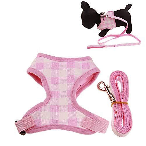 Katzenleine Hunde Geschirr Kleine Hunde Katzengeschirr Hundegeschirr Hundegeschirr Medium No Pull Katzengeschirr Mit Blei Welpengeschirr Für Kleine Hunde Kein Zuggurt Für Hunde 7,XL Katzenleine Hunde Geschirr Kleine Hunde Katzengeschirr Hundegeschirr Hundegeschirr Medium No Pull Katzengeschirr Mit Blei Welpengeschirr Für Kleine Hunde Kein Zuggurt Für Hunde 7,XL von KunLS