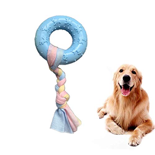 KunLS Ball hundespielzeug unzerstörbar hundespielzeug Intelligenz Welpen kaut Hund kauen Spielzeug Hund kauen Tough Hund Spielzeug Circle,Blue KunLS Ball hundespielzeug unzerstörbar hundespielzeug Intelligenz Welpen kaut Hund kauen Spielzeug Hund kauen Tough Hund Spielzeug Circle,Blue von KunLS